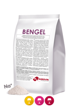 BENGEL