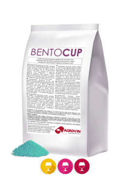 BENTOCUP