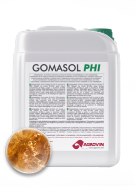 Agatha Pro 7 GOMASOL PHI