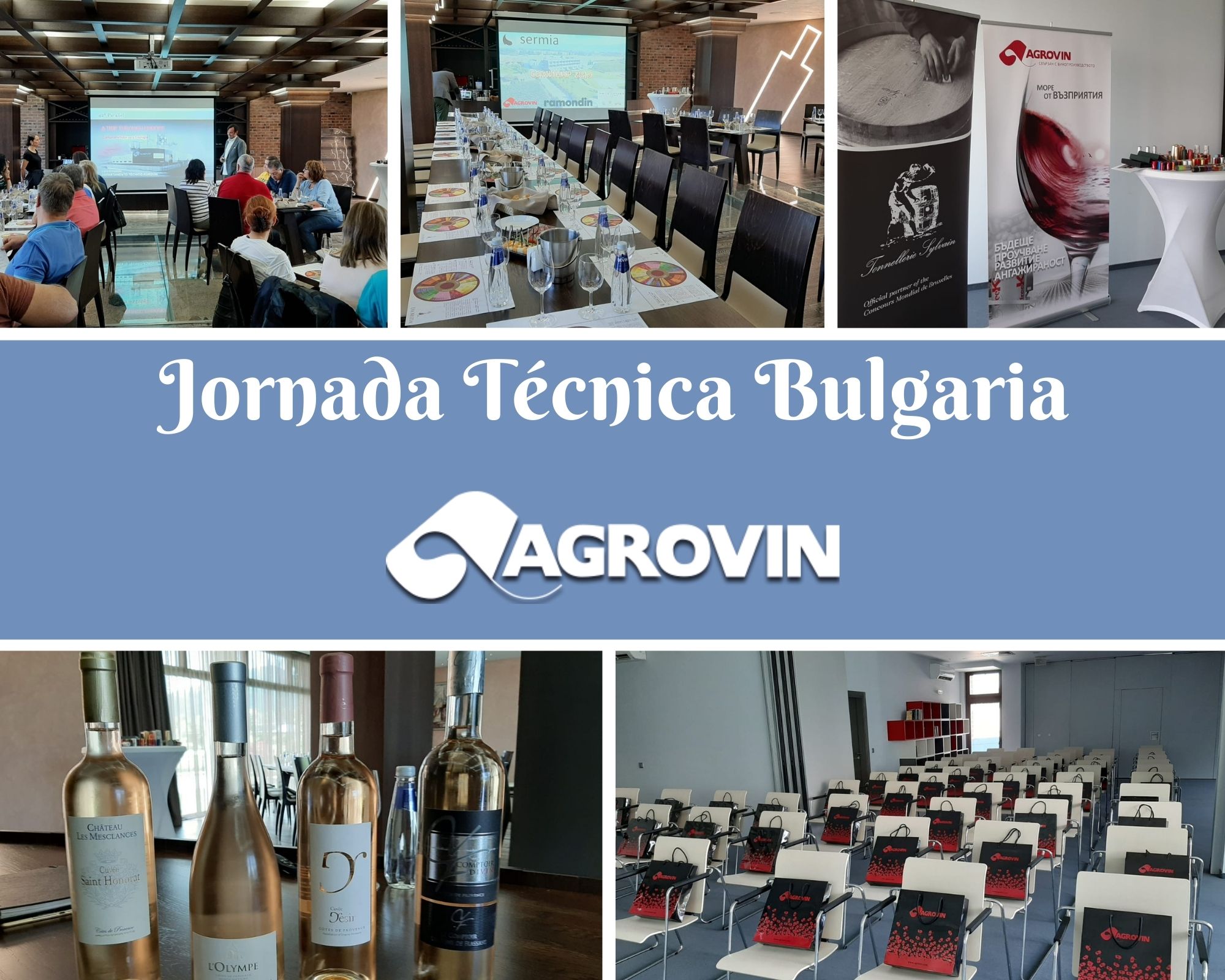 Collage Bulgaria 2019