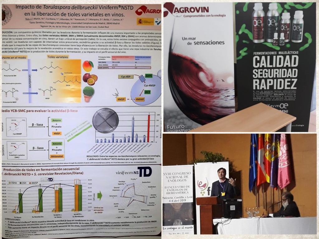 Congreso En%C3%B3logos collage