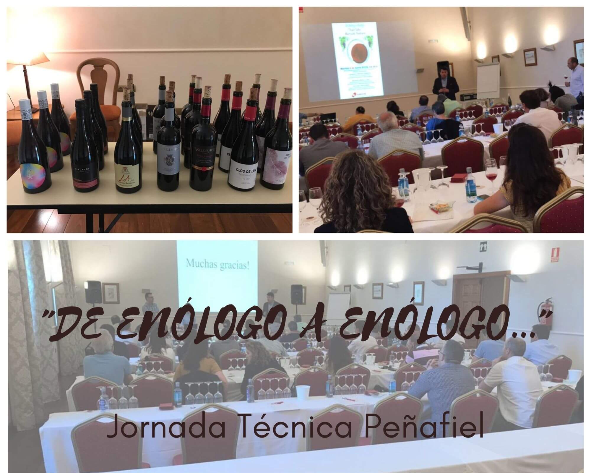 Collage Penafiel 2019