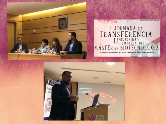 Biotecnología Collage e1567072165416