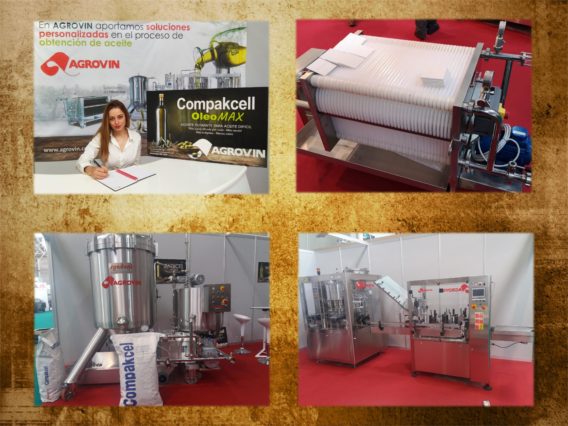 Expoliva collage e1567067518942