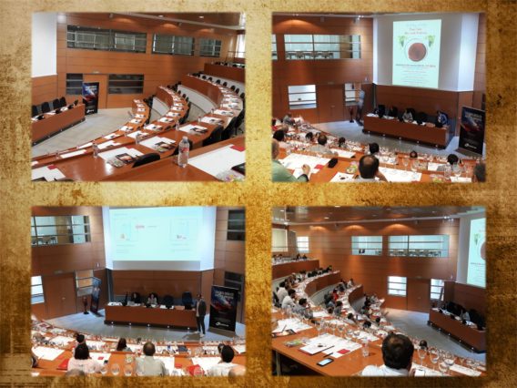 Jornada Mancha collage e1567434575976