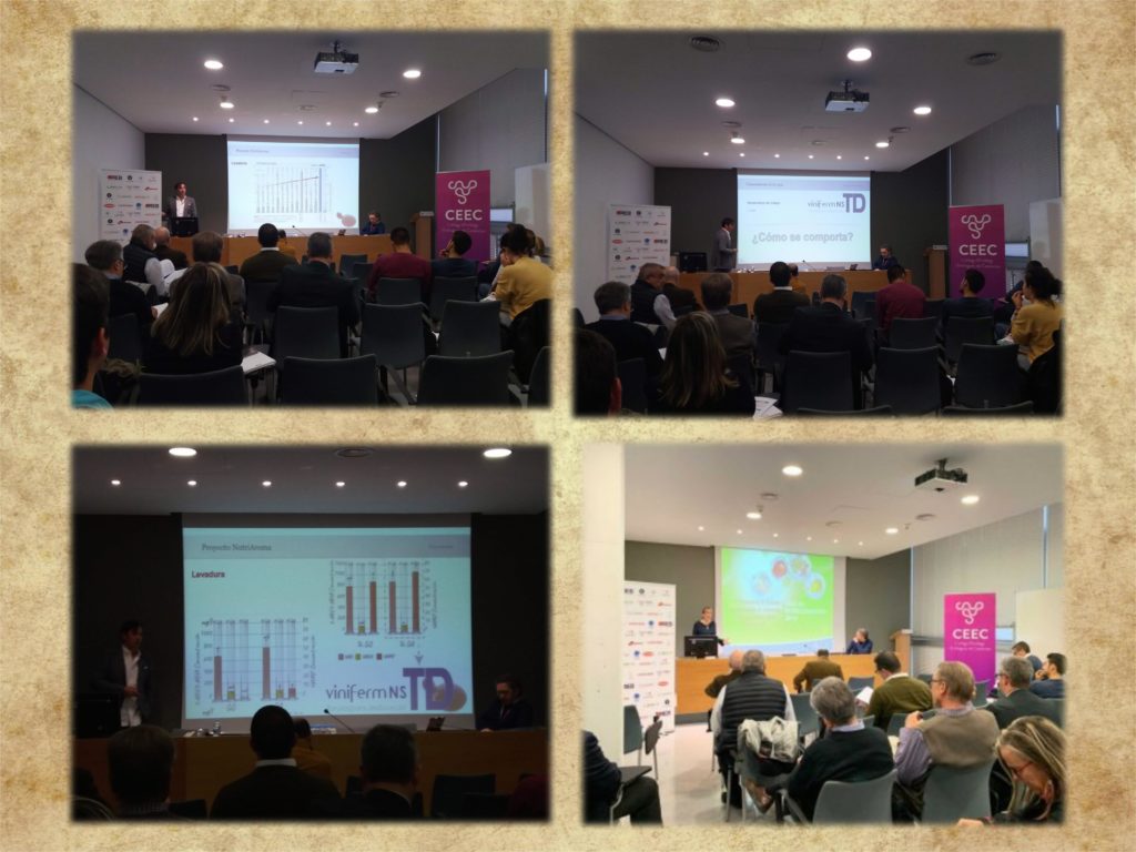 Collage Feria Patrocinadores