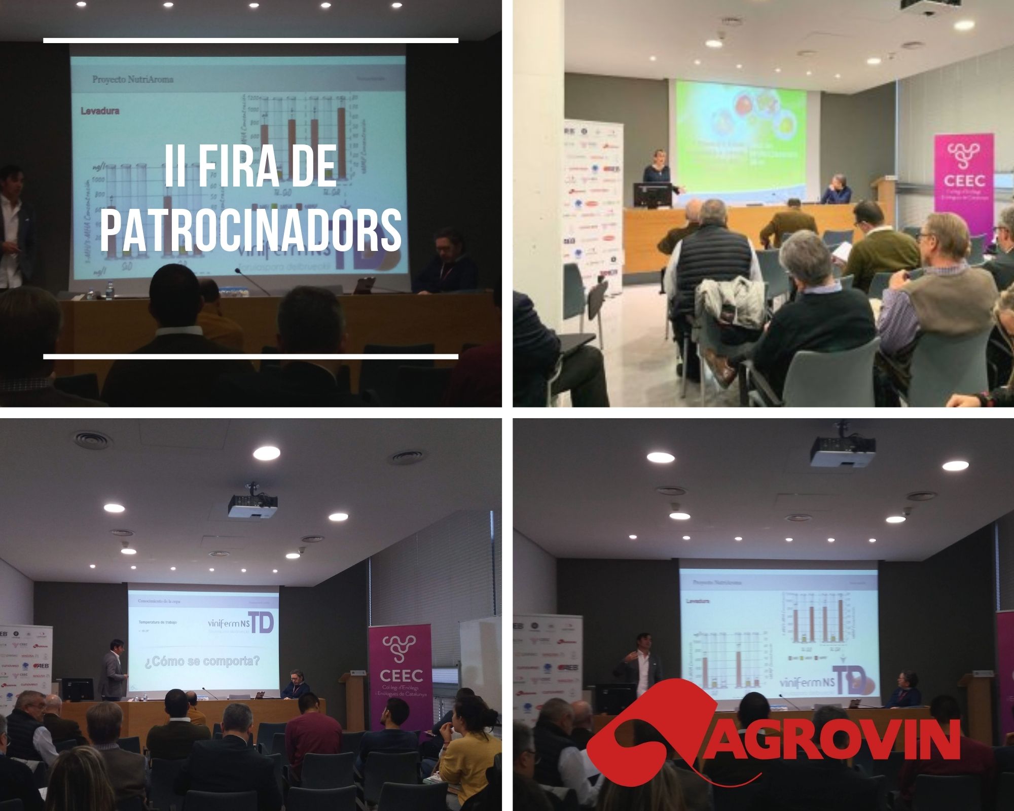 II Fira de Patrocinadors 1 Collage II Feria PAtrocinadores