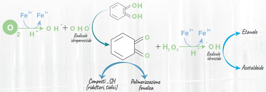 cadena de oxidaciones it 1
