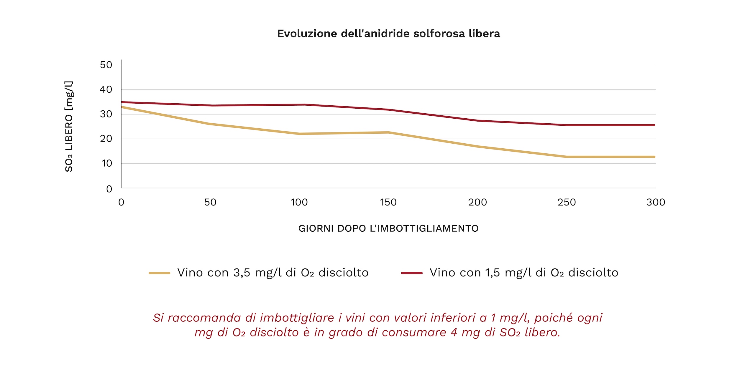 Controllo e ottimizzazione dei gas nell'imbottigliamento del vino 4 4 IT