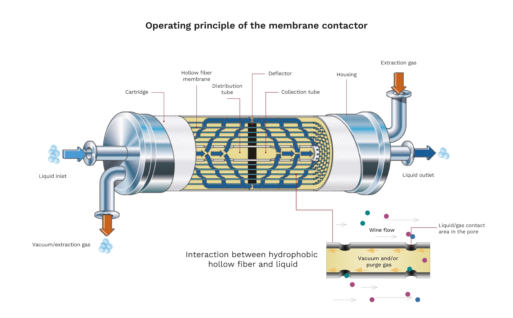 Controllo e ottimizzazione dei gas nell'imbottigliamento del vino 5 5 EN IT