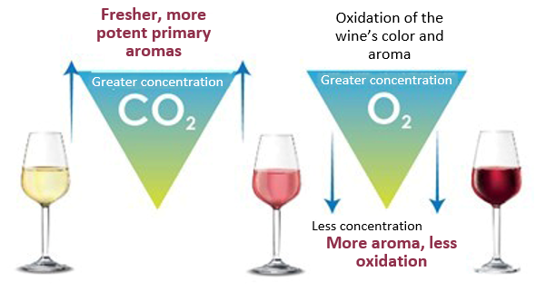 Captura de pantalla 2022 12 20 151530