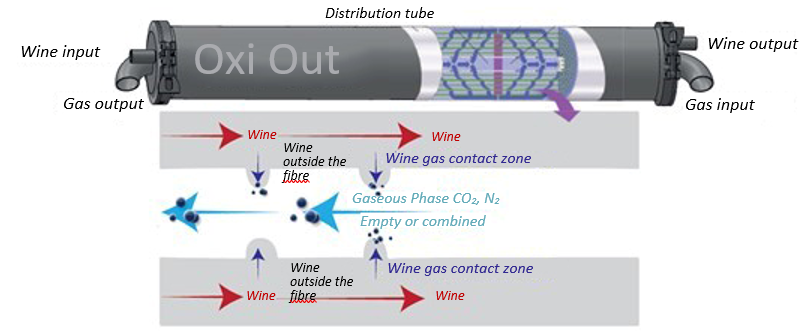 Captura de pantalla 2022 12 20 151913