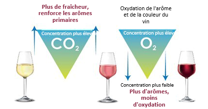 Captura de pantalla 2022 12 20 152216