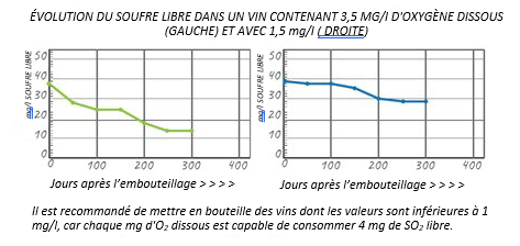 Captura de pantalla 2022 12 20 152534