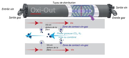 Captura de pantalla 2022 12 20 152629