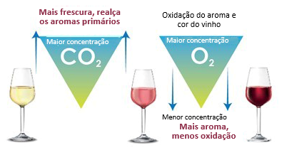 Como controlar os gases dissolvidos durante o engarrafamento 1 Captura de pantalla 2022 12 20 154820