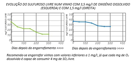 Como controlar os gases dissolvidos durante o engarrafamento 2 Captura de pantalla 2022 12 20 154908