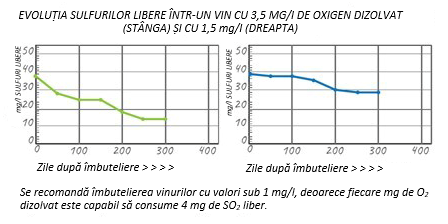 Cum să controlați gazele dizolvate în timpul îmbutelierii 2 Captura de pantalla 2022 12 20 155406