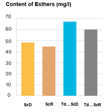 Captura de pantalla 2022 12 15 133544