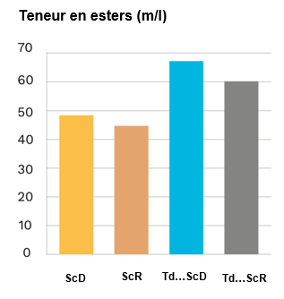 Captura de pantalla 2022 12 15 141703