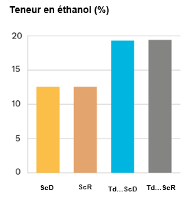 Captura de pantalla 2022 12 15 141855