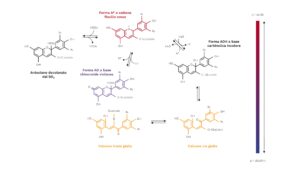Il ruolo dei tannini enologici: classificazione, funzioni e applicazioni tecniche 1 tannini 2