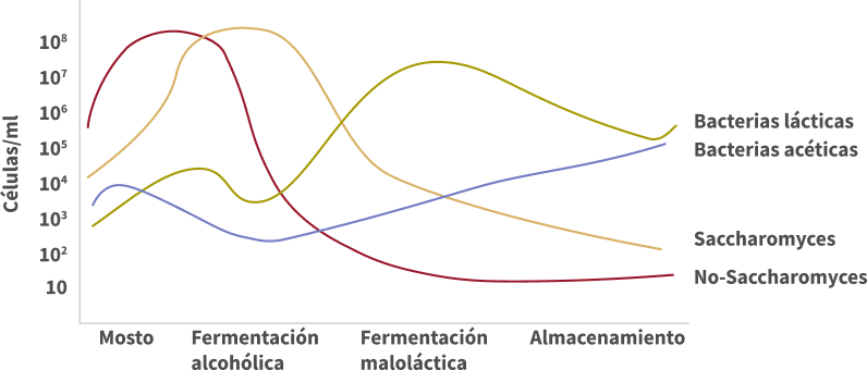 siembradelevaduras 1