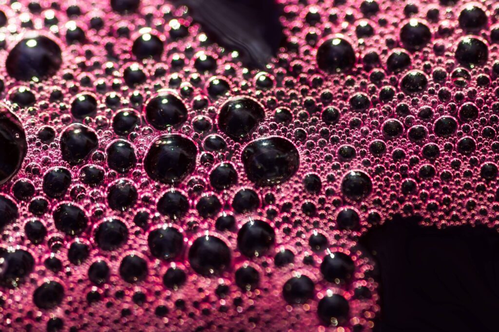 Malolactic fermentation