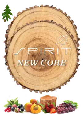 DosiOx 6 SPIRIT NEW CORE