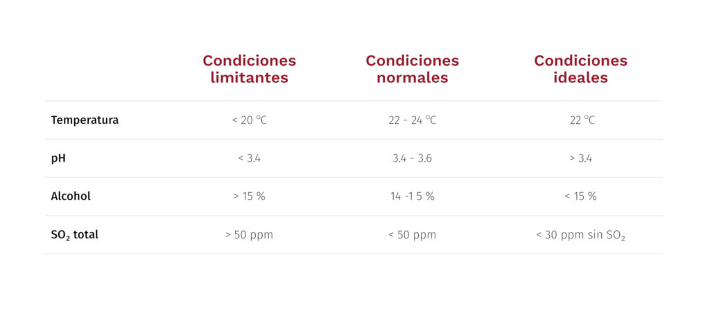 ¿Cuándo es el mejor momento para aplicar bacterias lácticas al vino? 1 Condiciones FML