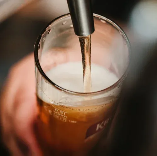 cerveza columna maquinaria agrovin