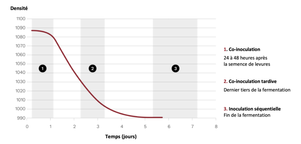 Captura de pantalla 2022 10 10 a las 12.32.26
