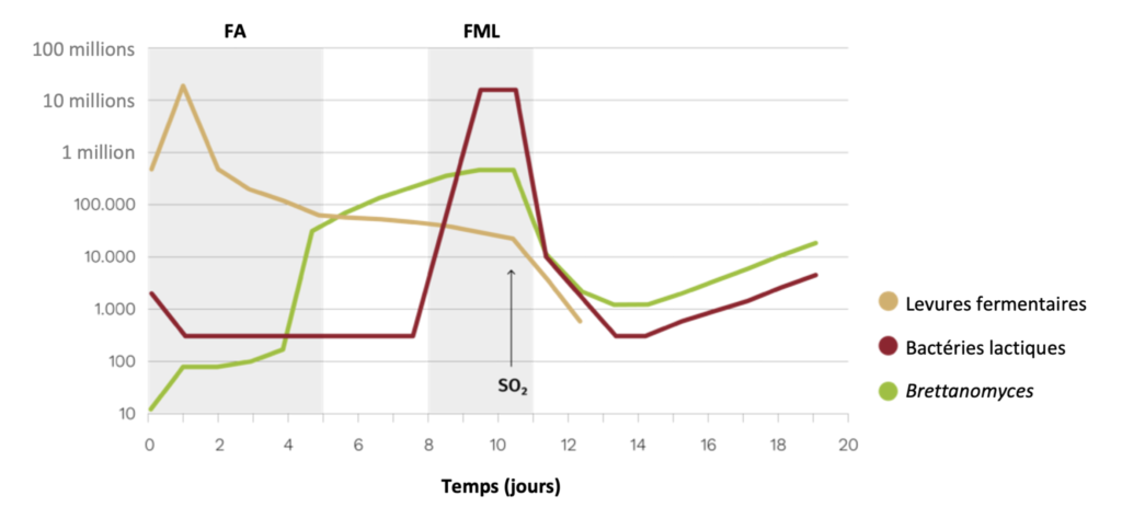 Captura de pantalla 2022 10 10 a las 12.33.59