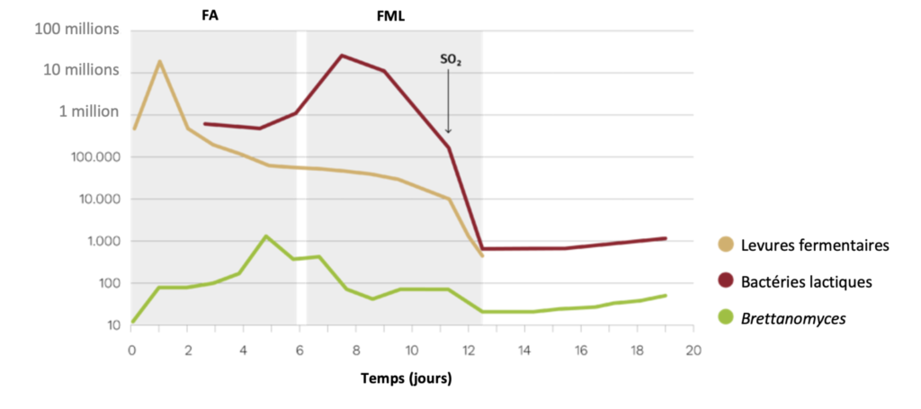 Captura de pantalla 2022 10 10 a las 12.36.13