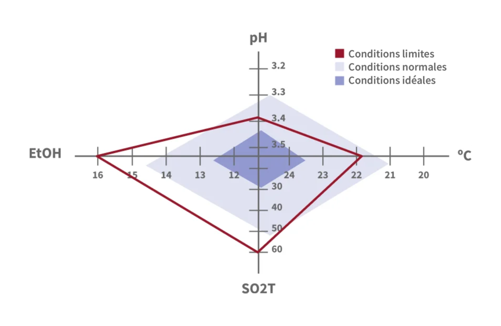 Quel est le meilleur moment pour appliquer des bactéries lactiques au vin? 5 Conditions FML