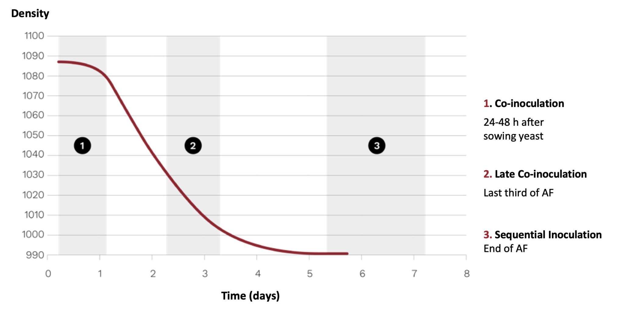 When is the best time to apply lactic bacteria to wine? | Agrovin