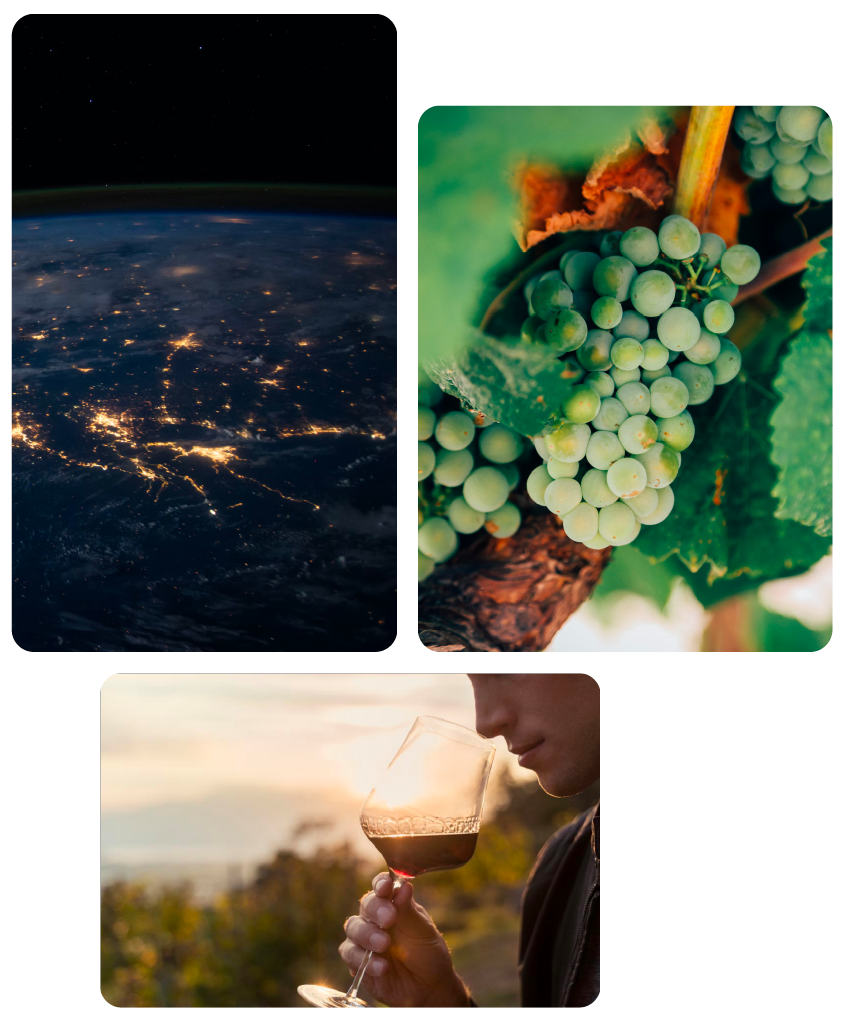 Productos enológicos sotenibles 1