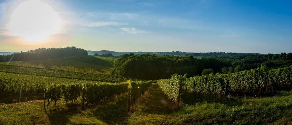 Ultrawine Perseo verdores