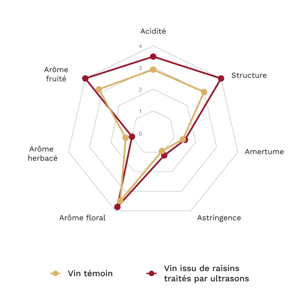 Au-delà des vins rouges : exploration des ultrasons dans la vinification des vins blancs 2 Graphique radar comparant un vin Sauvignon Blanc témoin à un autre élaboré à partir de raisins traités par ultrasons. Le vin traité présente une acidité, une structure et des arômes floraux et fruités plus prononcés, un caractère herbacé moins marqué et des valeurs similaires en termes d’amertume et d’astringence.