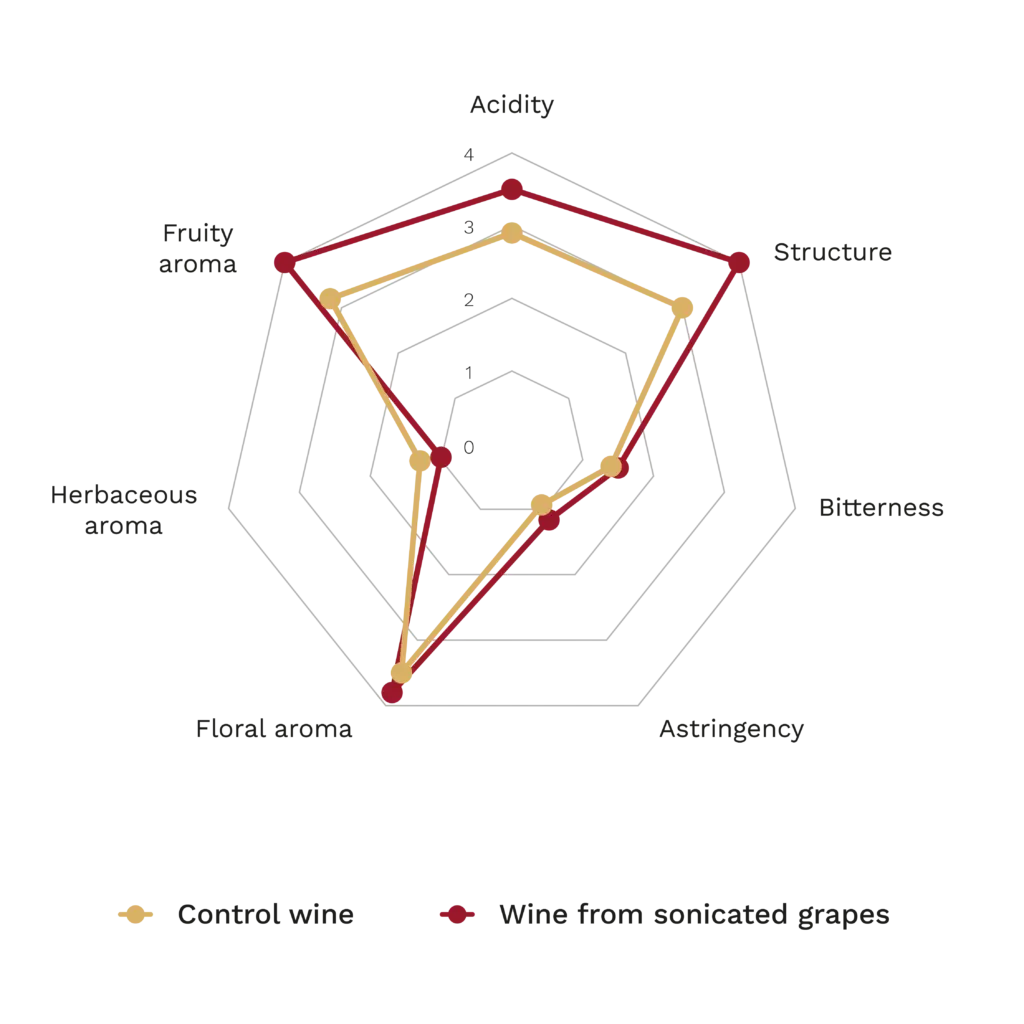 Beyond Red Wines: Exploring Ultrasound in White Wine Production 2 Radar chart comparing a control Sauvignon Blanc wine with one made from ultrasound-treated grapes. The treated wine shows higher acidity, structure, and floral and fruity aromas, lower herbaceous character, and similar levels of bitterness and astringency.